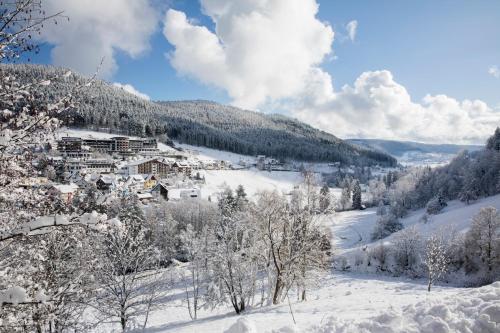 Hotel Traube Tonbach