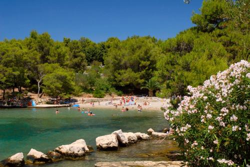 Arkada Sunny Hotel by Valamar - image 9