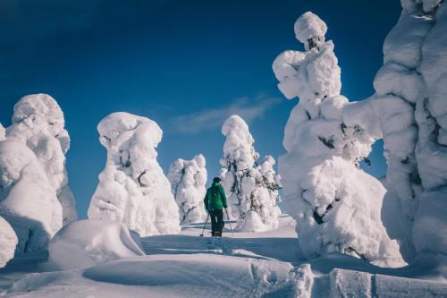 Attractions, Lapland Hotels Saaga in Yllasjarvi