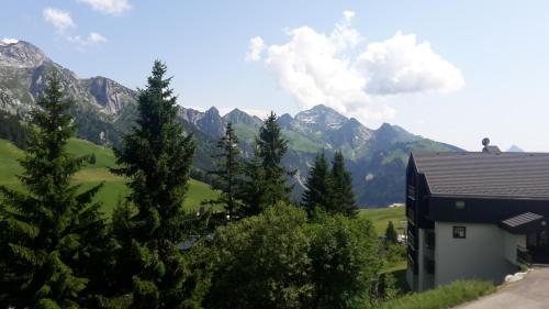 Ski Soleil 304 - image 4