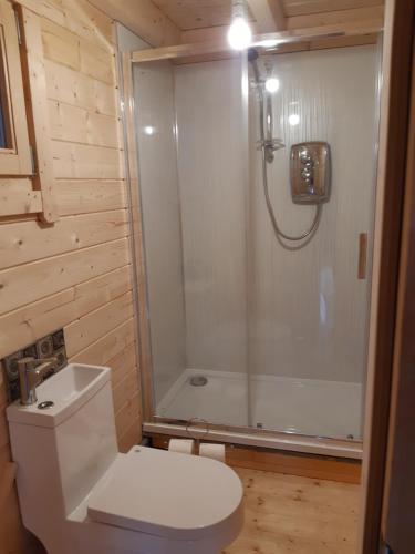 Springbank Cabin in Kirktown Of Clatt