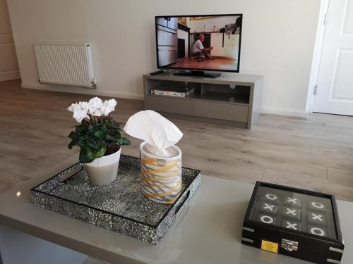 Mycosy At The Ocean - image 6