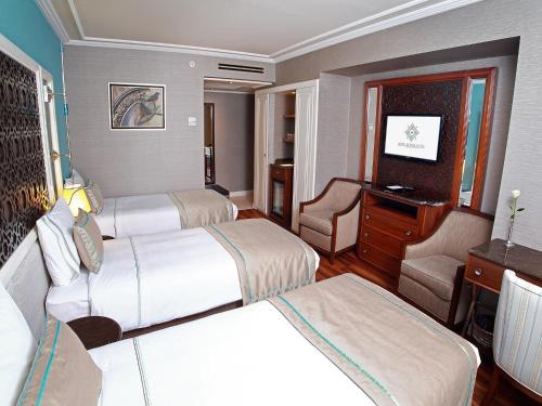 Grand Durmaz Hotel, Istanbul (fotografie 7)