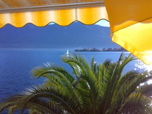 Casa San Martino - Apartment - Ronco s/Ascona - Porto Ronco