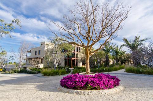 Palmilla Dunes Casa Cobra Villa