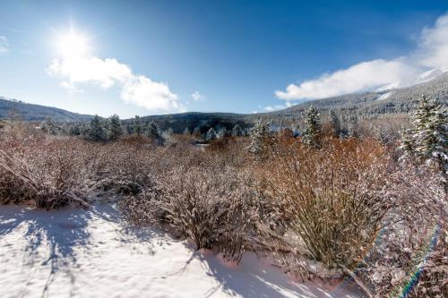 Two-Bedroom Condo G136 at Mountainside - image 7