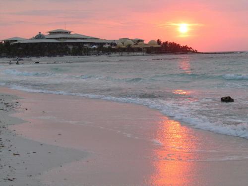 Barceló Maya Palace - All Inclusive