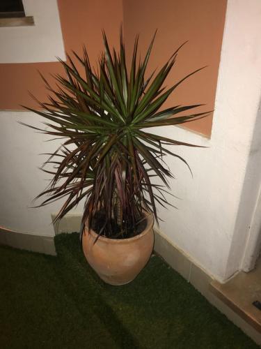  Sun Place Guest House in Lagos