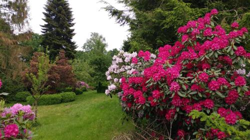 Ferienwohnung Gartenblick in Worpswede, Deutschland