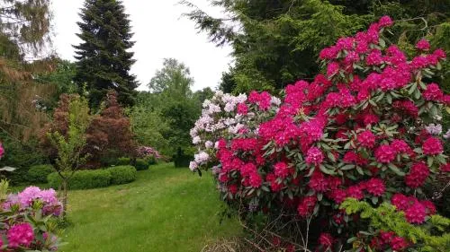 Ferienwohnung Gartenblick in Worpswede, Deutschland