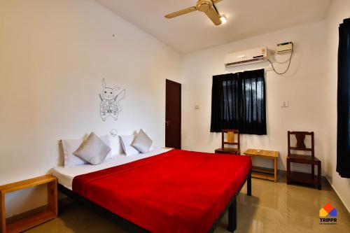 Trippr Alleppey - Backpacker Hostel