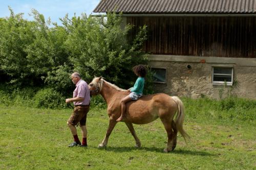 Winzerhof Strablegg - image 3