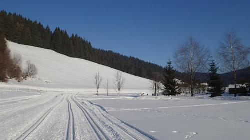 Pension Fortuna - image 4