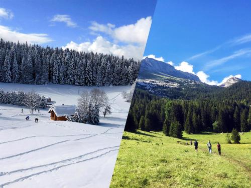 Studio Villard - Les Glovettes