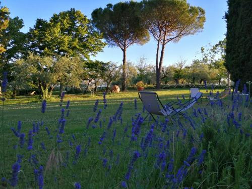 La Fornella dell'Anita 4