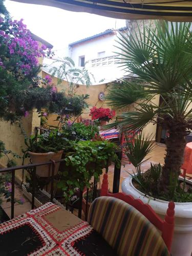 La Casona Albaida in Albaida (Valenciana)