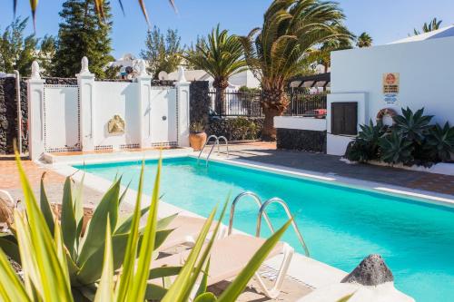 Los Tulipanes - main image