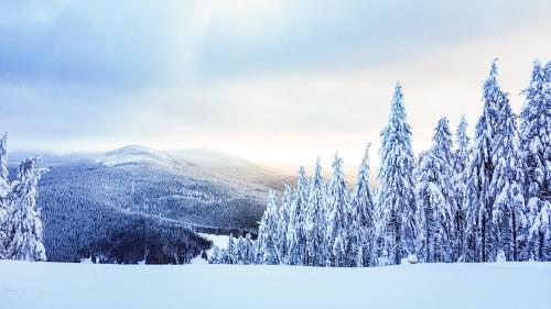 Omgeving, Apartment Mumlava Harrachov 1 in Harrachov