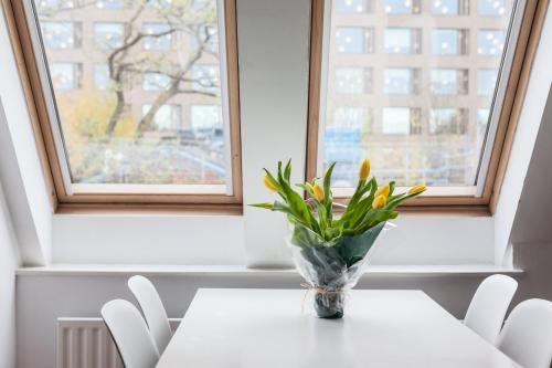 White City Apartment, Londýn (fotografie 9)