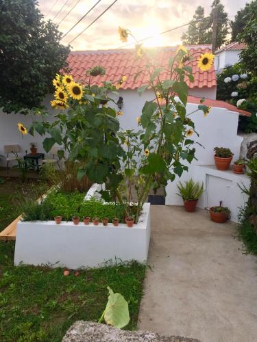 Фасада на хотела, The Azores Homestead - Terceira in Santa Barbara
