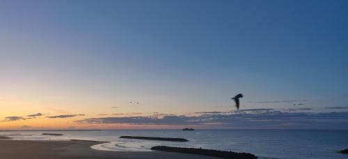 Savanna Beach - image 8