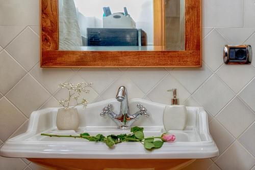 Ripa Medici - image 4