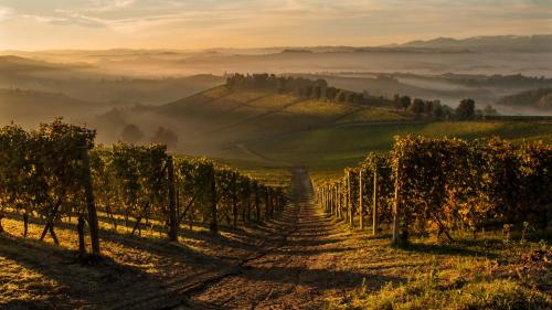  La Locanda del Nocciolo, Novello bei Marene