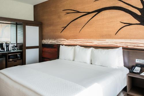 228409185 Cambria Hotel McAllen Convention Center