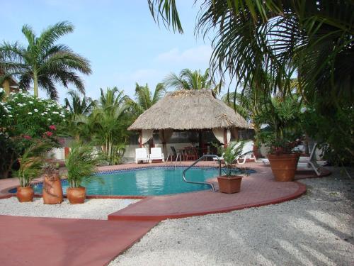 泳池, 庫努庫別墅阿魯巴島熱帶花園公寓 (Cunucu Villas - Aruba Tropical Garden Apartments) in 奧拉涅斯塔德