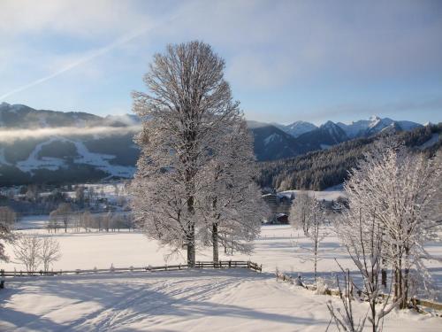 Pension Dachsteinhof - main image