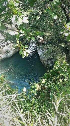 Hotel Villa Igea - image 5