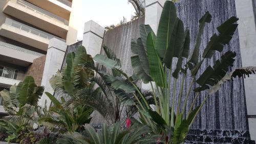 Sheraton Ocean 401 - No Pool Access 4