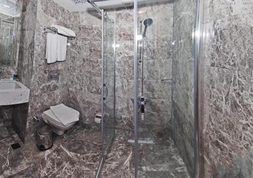Grand Emir Hotel - image 7