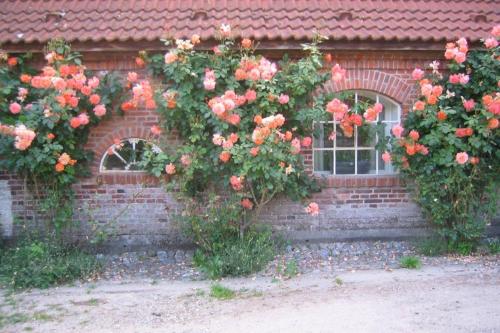 Gut Hohenstein - Stellmacherhaus