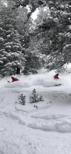 Inn at Snowbird – Snowbird, UT