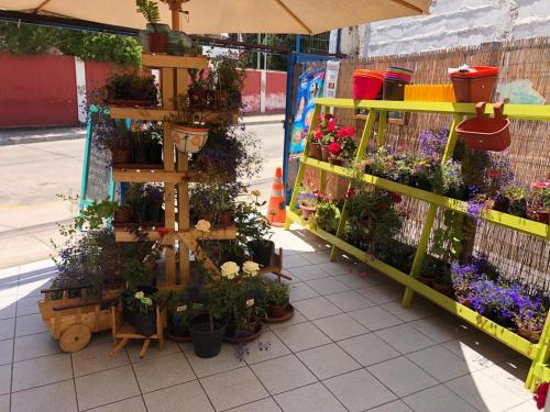 HOSTAL HABITACIONES ECONOMICAS CERCA DEL TERMINAL DE BUSES Cafetería (HOSTAL HABITACIONES ECONOMICAS CERCA DEL TERMINAL DE BUSES Cafeteria) near สนามบินลาฟลอริดา