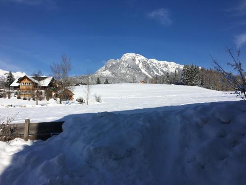 Ausseer Chalet (nahe Hallstatt), Appartements