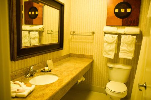 Borrego Springs Resort and Spa - image 8