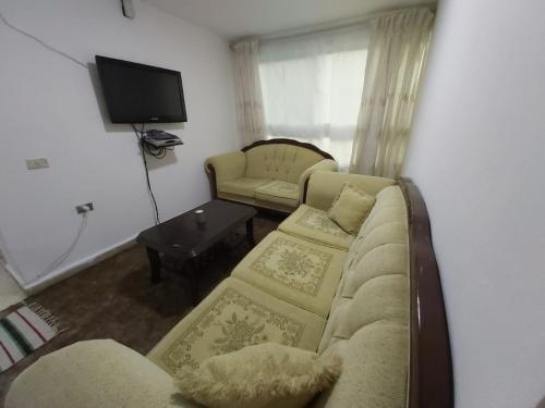 One-Bedroom Apartment image 7