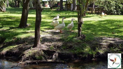 拉斯康迪达牧场农家乐