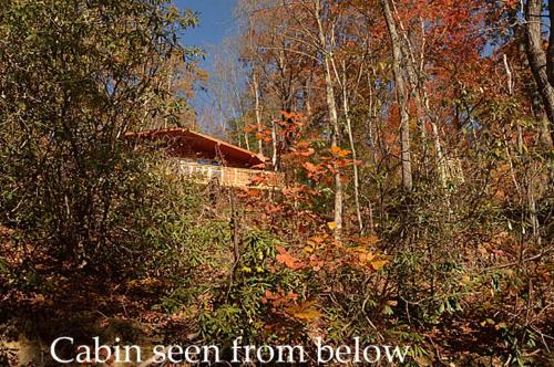 #820 Honeymoon Hideaway - image 13