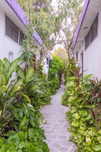 Hotel Aventura in Mérida, Mexiko