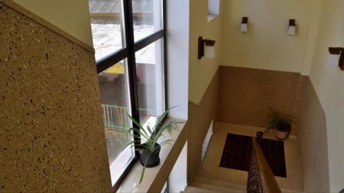 Faciliteter, Sem Uglov in Tiraspol