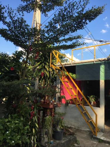 Thong Family Homestay Chiangdao Chiang Dao