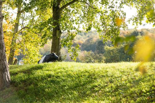 Wald & Golfhotel Lottental