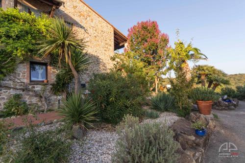  Villa Sant Anna in Sassetta