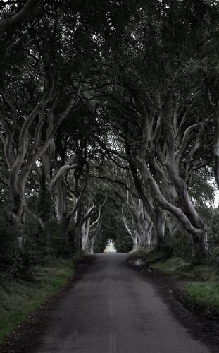 Carnately Lodge - image 5