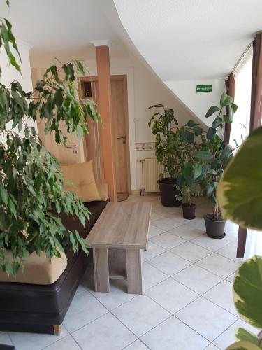 畔兹奥角屋酒店 畔兹奥角屋酒店