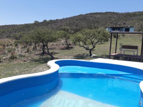 Skats, Raices Ongamira in Ongamira