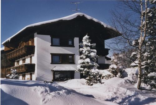  Haus Baumgartner, Pension in Schattwald bei Jungholz